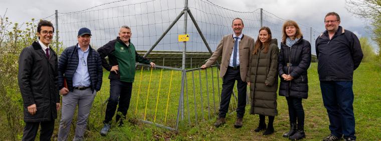 Energie & Management > Photovoltaik - Das Reh darf rein, der Mensch muss draußen bleiben