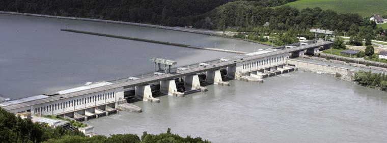 Energie & Management > Wasserkraft - Verbund investiert 60 Millionen Euro in Fischwanderhilfen