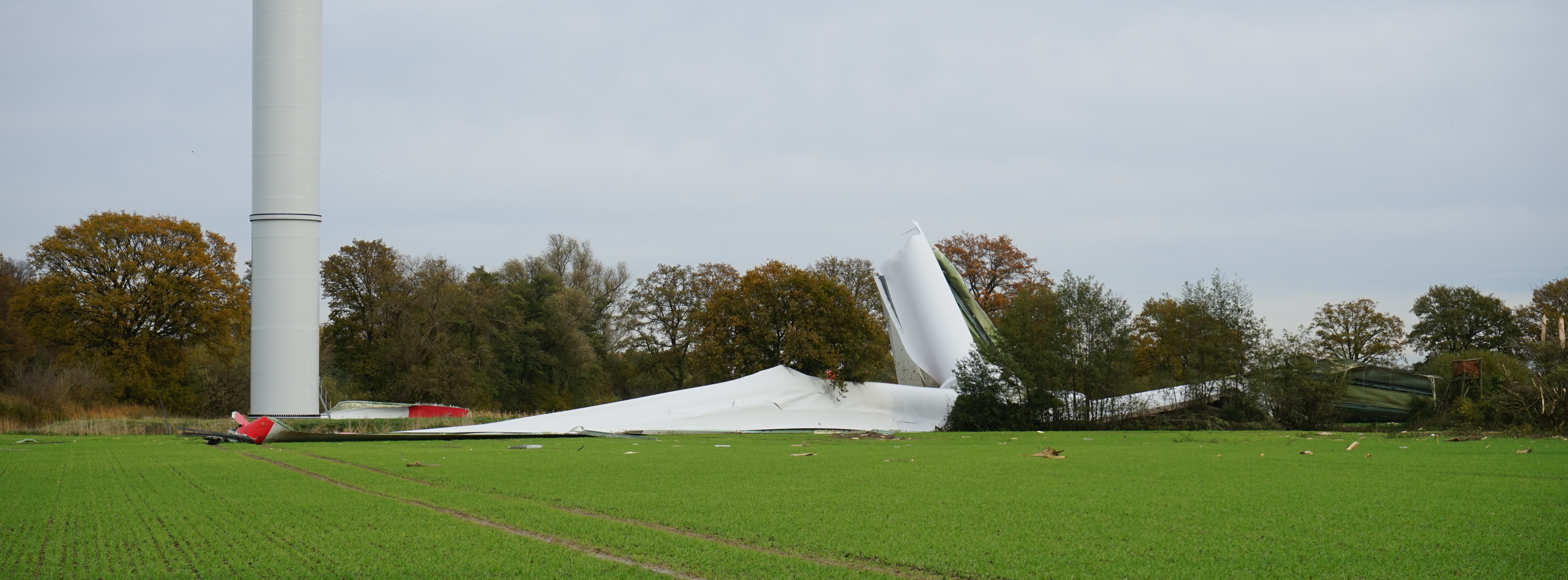 Energie & Management > Windkraft - Öl von havarierter Windturbine sickert ins Erdreich