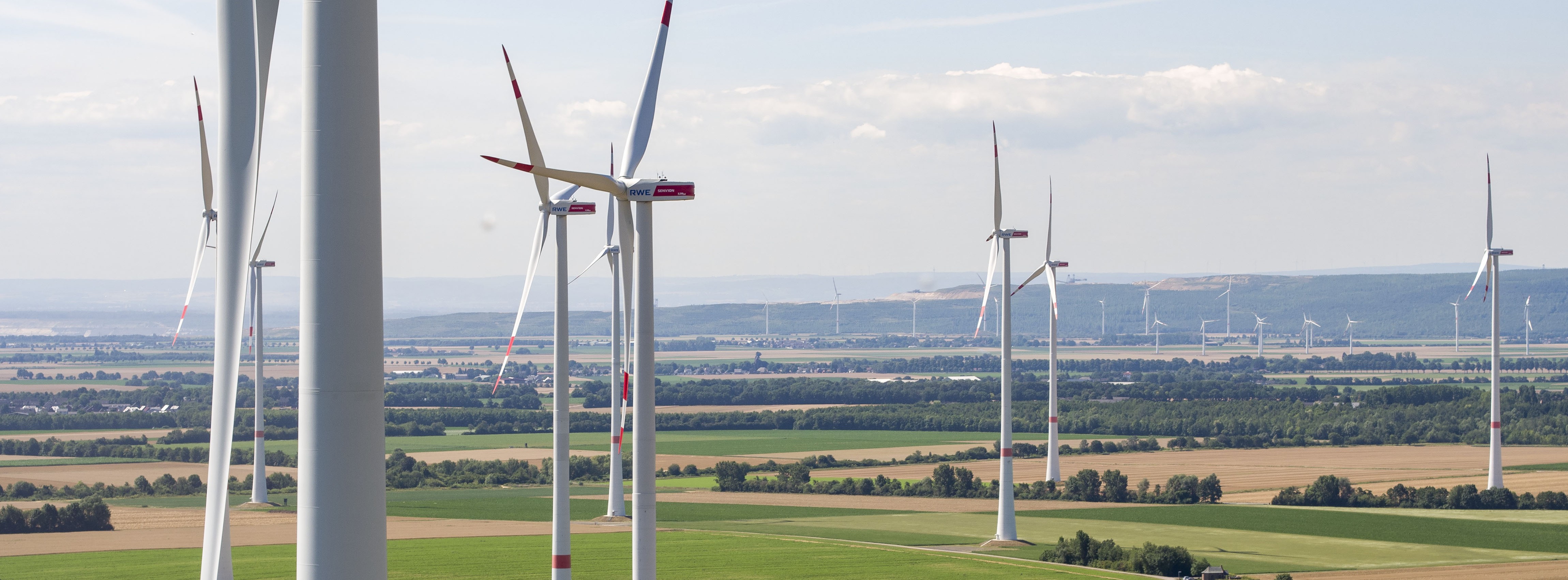 Energie & Management > Regenerative - RWE will 15 Mrd. Euro in Erneuerbare investieren