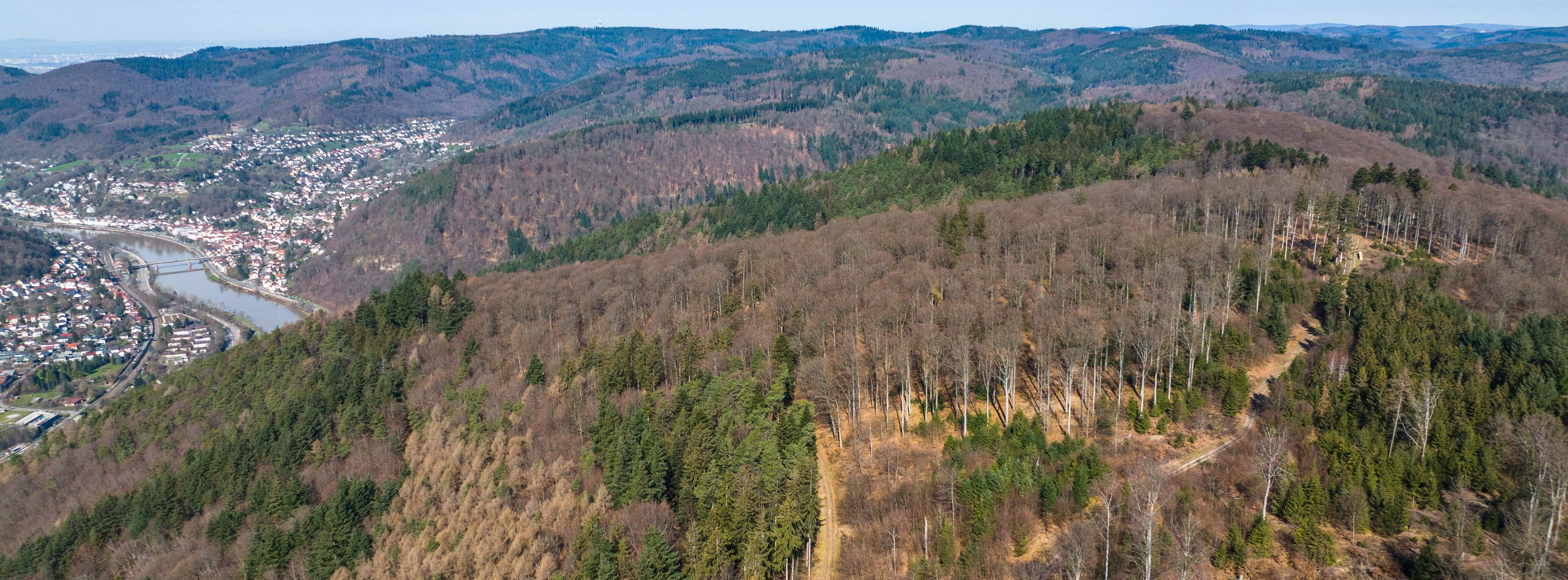 Energie & Management > Windkraft Onshore - Mehrheit der Bevölkerung will Windpark am Lammerskopf