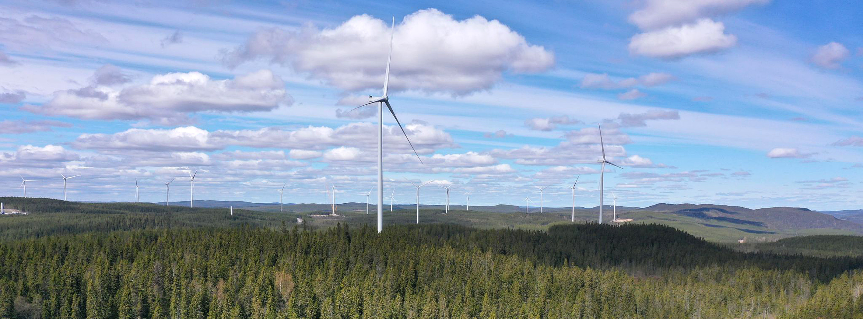 Energie & Management > Windkraft Onshore - RWE nimmt Giga-Windpark in Schweden in Betrieb