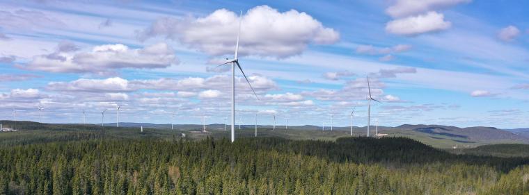 Energie & Management > Windkraft Onshore - RWE nimmt Giga-Windpark in Schweden in Betrieb