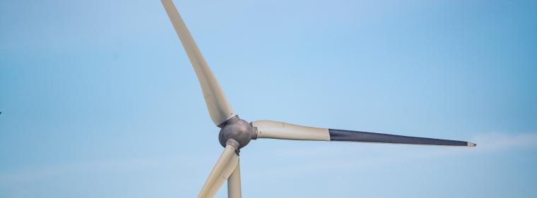 Energie & Management > Windkraft - Schwarzes Rotorblatt soll Vögel schützen