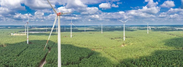 Energie & Management > Windkraft Onshore - Umgang mit Vergütungsrisiken bei Onshore-Auktionen