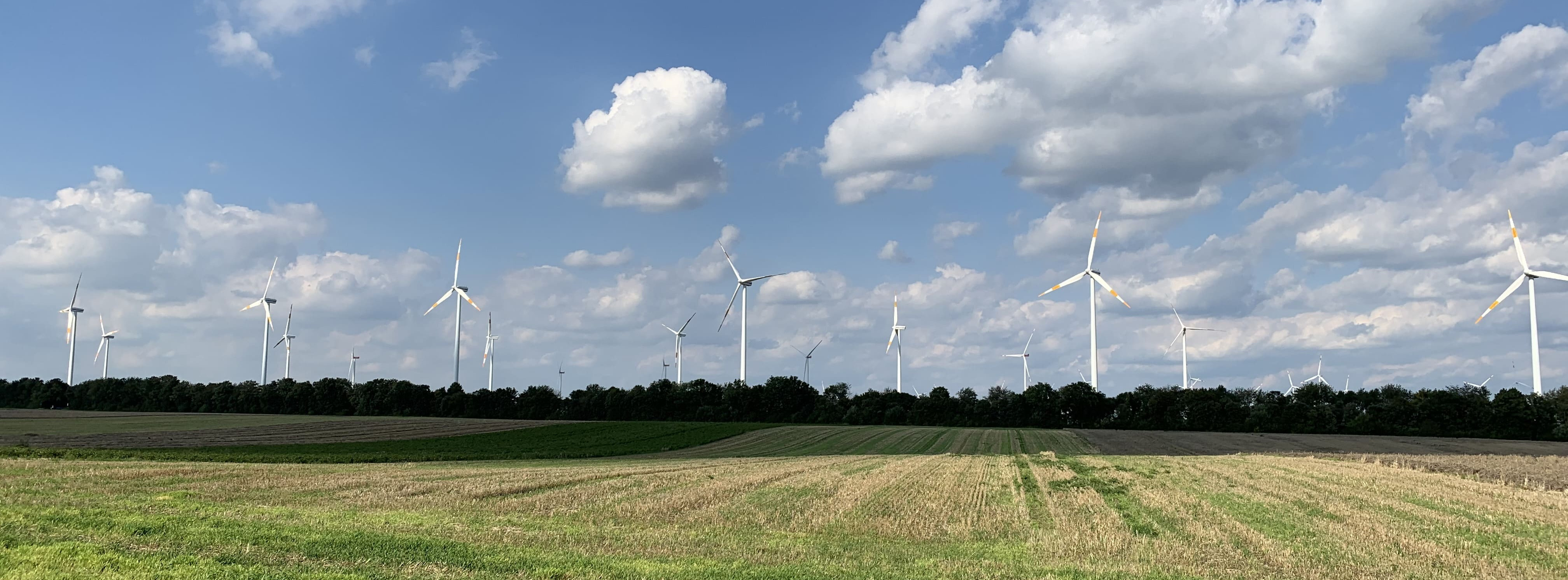 Energie & Management > Windkraft - Seltenheit: Ein virtuelles PPA aus deutschen Anlagen