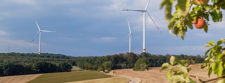 Energie & Management > Vertrieb - Günstiger Bürgerstrom im Umkreis von Windparks
