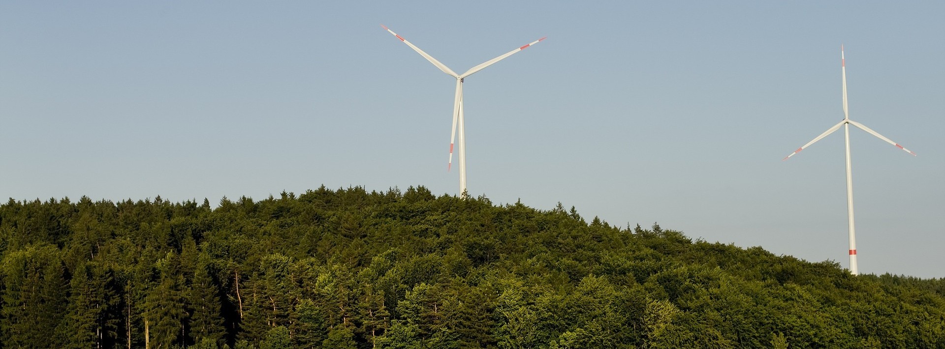 Energie & Management > Windenergie - In NRW drehen sich bald 100 Windräder im Wald