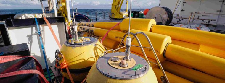 Energie & Management > Windkraft - Neue Offshore-Windflächen in der Nordsee für Gebote freigegeben