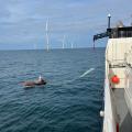 Energie & Management > Windkraft Offshore - Dünne Erklärung nach Rotorblattbruch