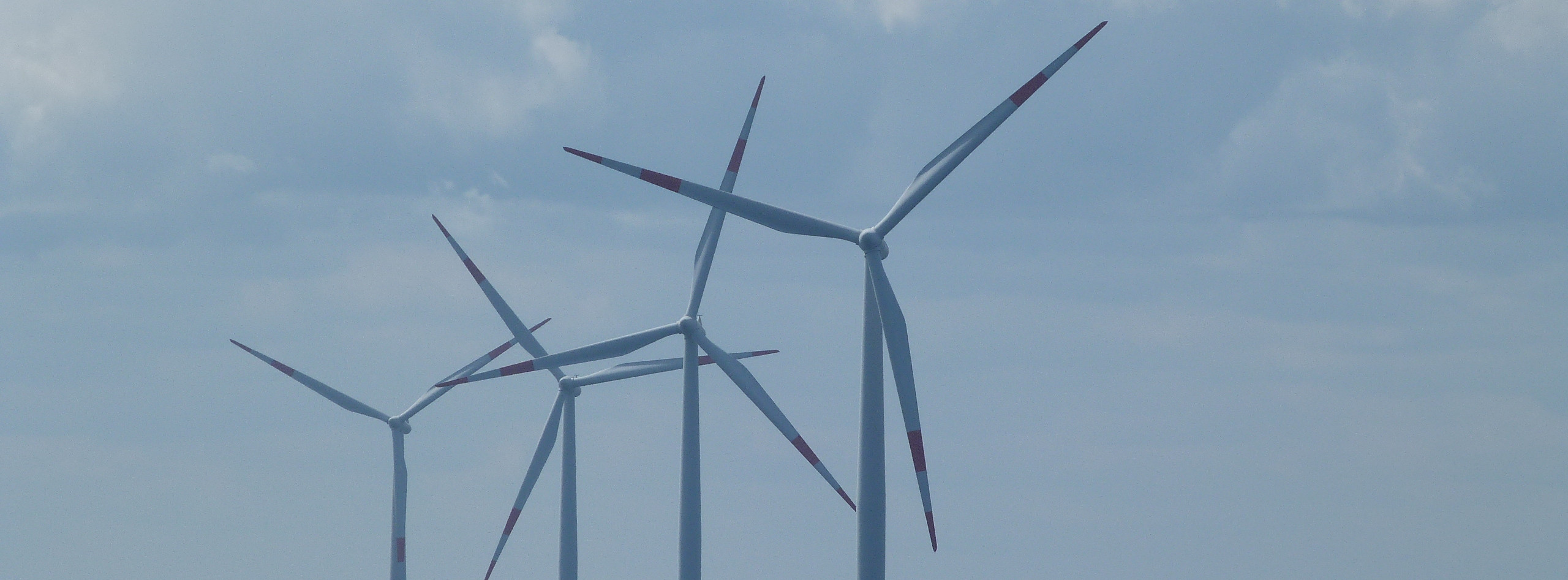 Energie & Management > F&E - Windparks verändern Strömung der Nordsee