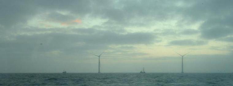 Energie & Management > Windkraft - Windmesse in Husum wegen Sturm abgeblasen