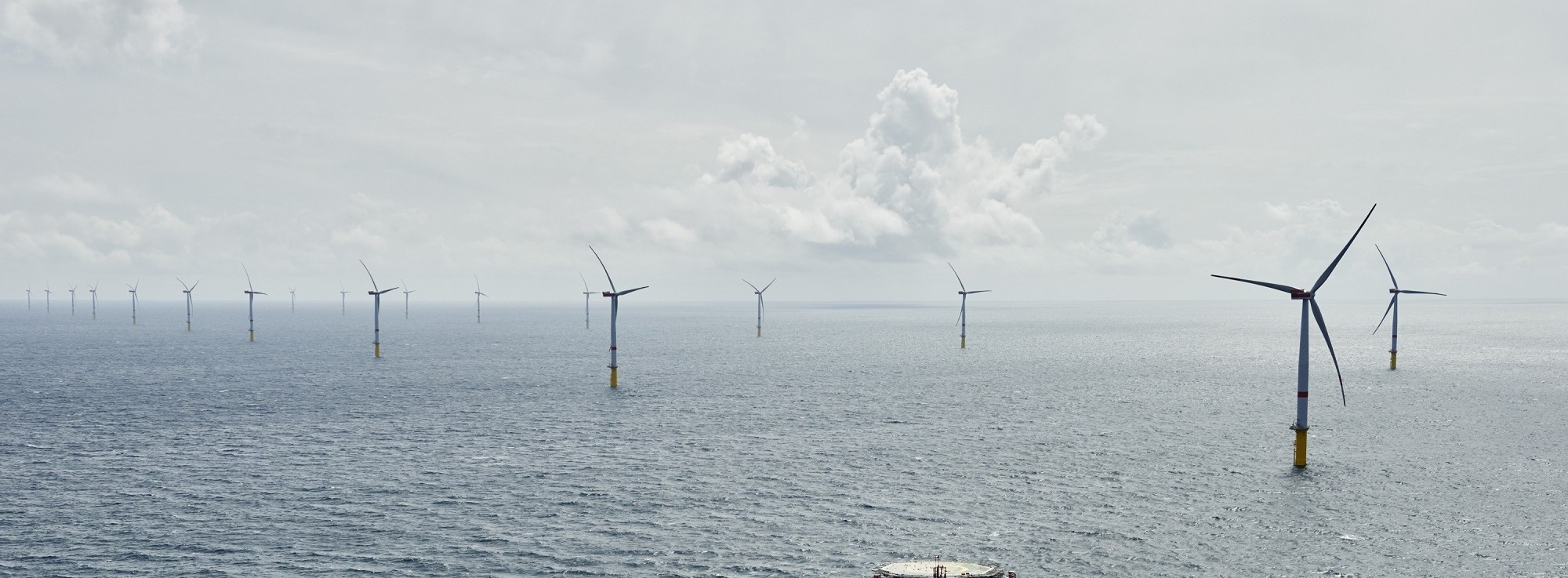 Energie & Management > Windkraft - Grillpower mit Windpower