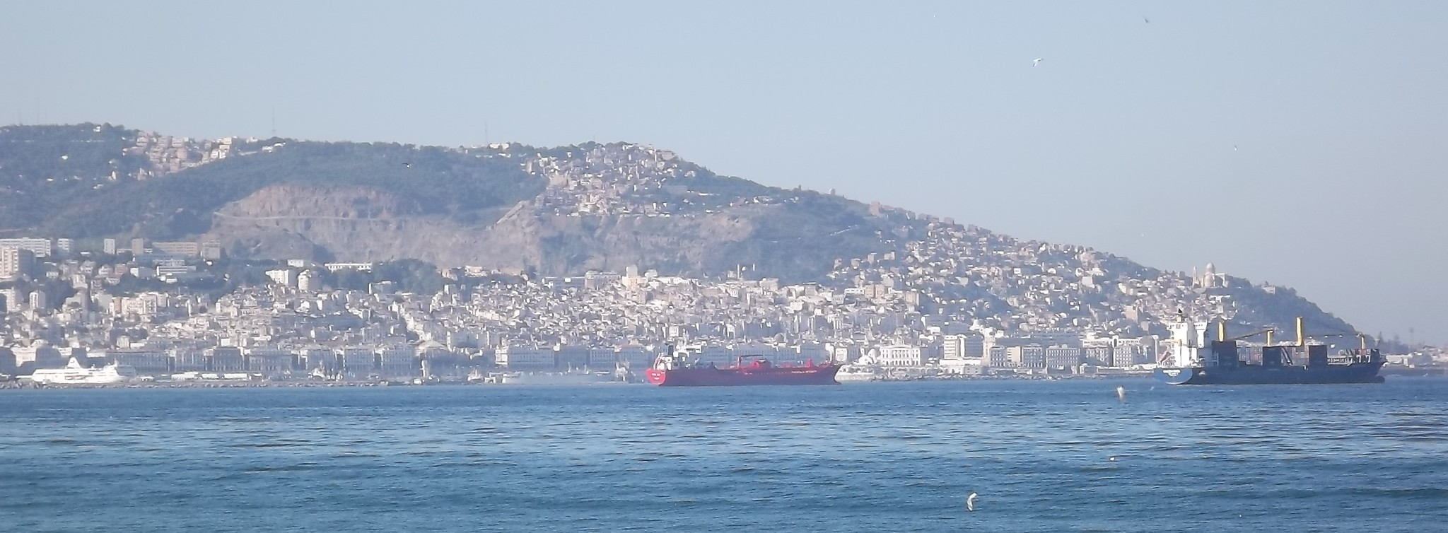 Energie & Management > Europa - Gas aus Algerien statt Russland