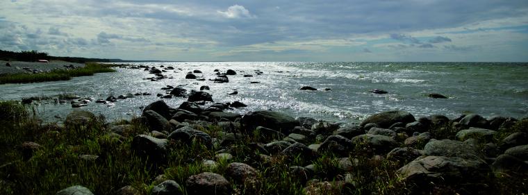 Energie & Management > Studie - Nord Stream 2 stärkt Gasmärkte