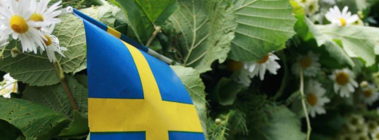 Energie & Management > Schweden - Ende der Kernenergie in Sicht