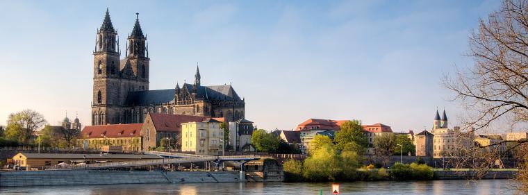 Energie & Management > KWK - Holzenergie für Magdeburg