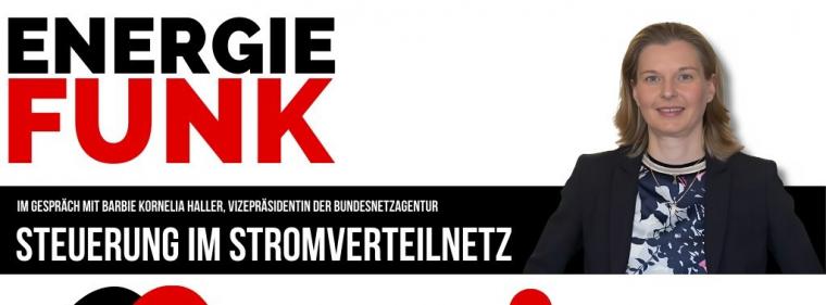 Energie & Management > E&M-Podcast - Kunden als Helfer der Stromnetze