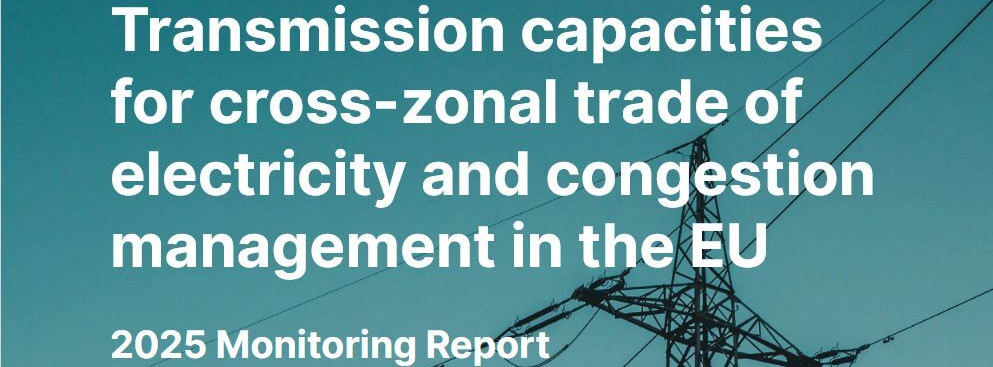 Energie & Management > Stromnetz - Netzengpässe behindern Stromhandel