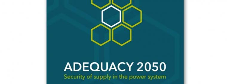 Energie & Management > Studien - Studie warnt vor Schwächen im Netzentwicklungsplan