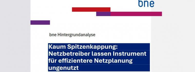 Energie & Management > Stromnetz - Netze besser nutzen statt Erneuerbare auszubremsen