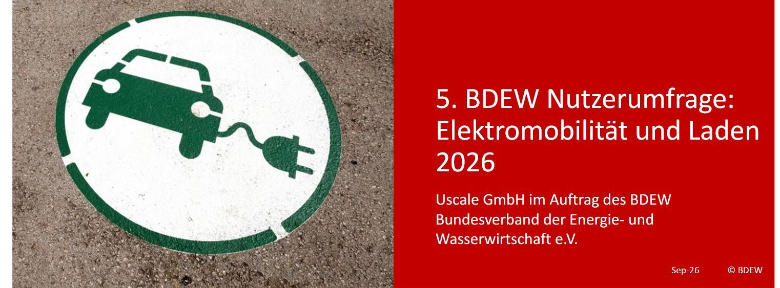Energie & Management > Mobilität - E-Autofahrer wollen elektrisch bleiben
