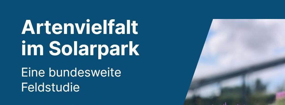 Energie & Management > Photovoltaik - Artenvielfalt in PV-Anlagen wissenschaftlich belegt