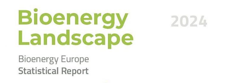 Energie & Management > Biomasse - Bioenergy Europe stellt Forderungen an die Politik