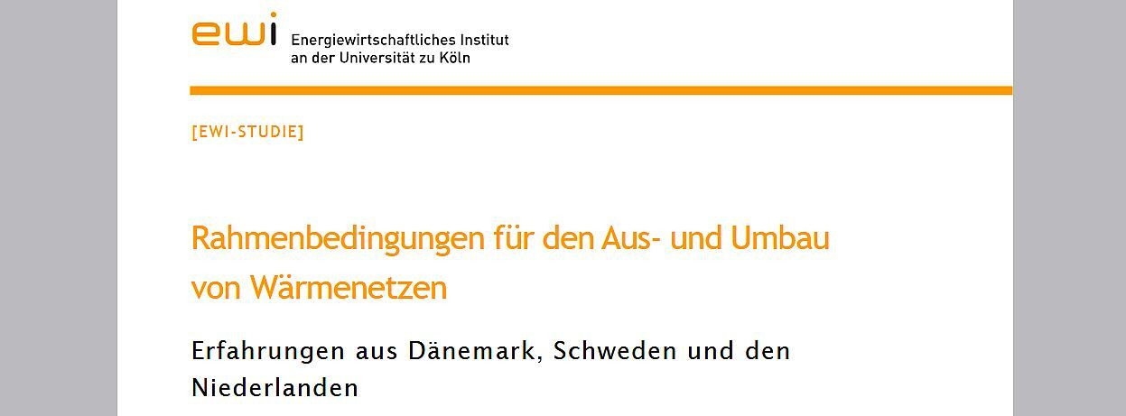 Energie & Management > Wärmenetz - Internationale Fernwärme-Ansätze als Vorbild für Deutschland