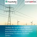 Energie & Management > Gaskraftwerke - Studie sieht Fehlanreize bei Gaskraftwerksstandorten