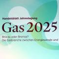 Energie & Management > Veranstaltung - Neue Gaskraftwerke auf das Nötigste beschränken