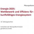 Energie & Management > Politik - Bundesregierung verteidigt Stromgebotszone