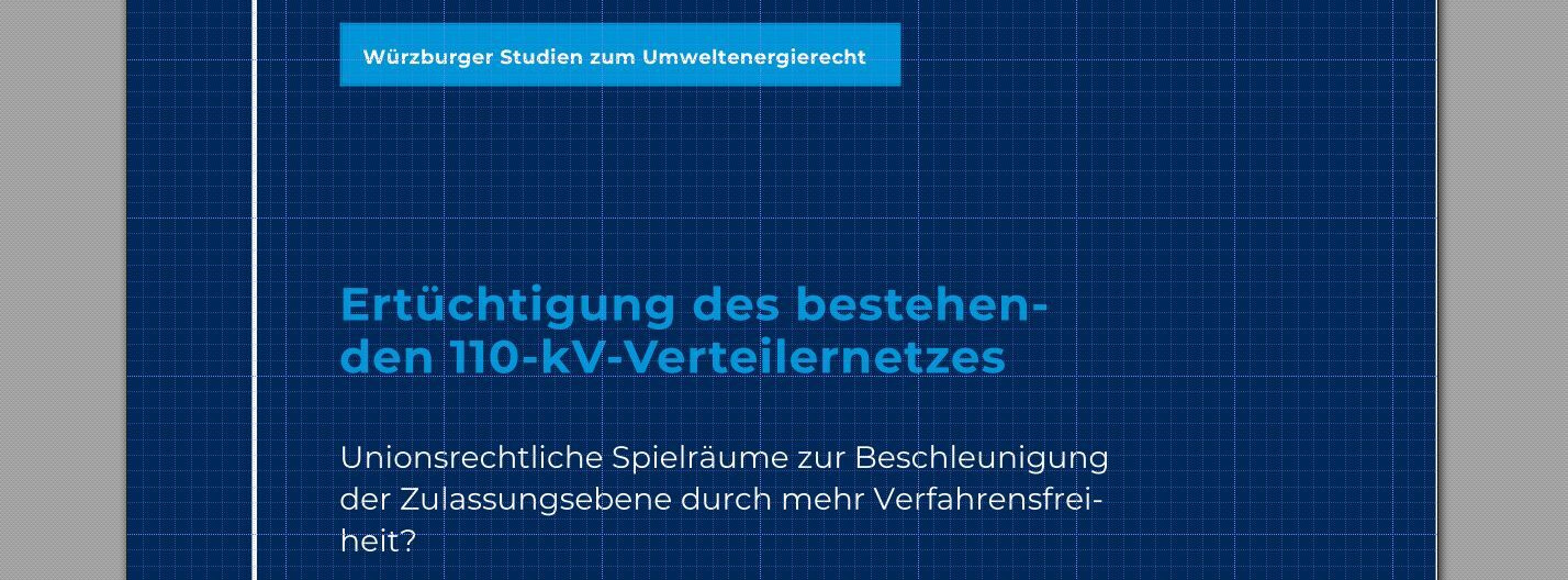 Energie & Management > Stromnetz - Studie sieht Spielraum für mehr Verfahrensfreiheit