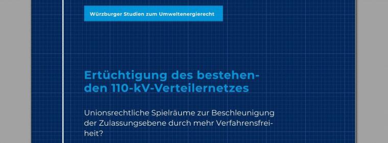 Energie & Management > Stromnetz - Studie sieht Spielraum für mehr Verfahrensfreiheit