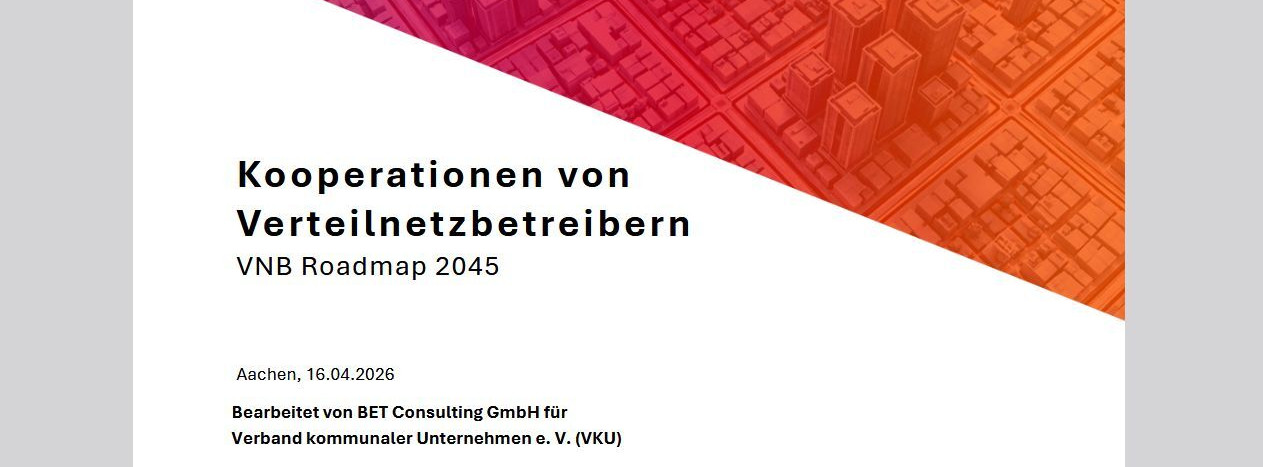 Energie & Management > Stromnetz - Studie empfiehlt Kooperationen in Verteilnetzen