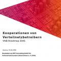 Energie & Management > Stromnetz - Studie empfiehlt Kooperationen in Verteilnetzen