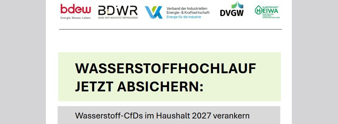 Energie & Management > Wasserstoff - Verbändebündnis fordert Wasserstoff-CfDs