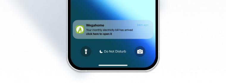 Energie & Management > IT - Geld sparen durch netzdienliche Steuerung