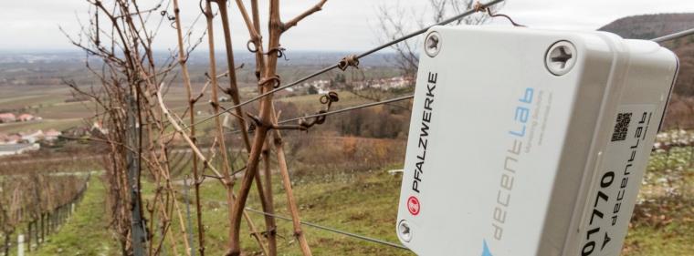 Energie & Management > IT - Pfalzwerke bauen Lorawan-Netz aus