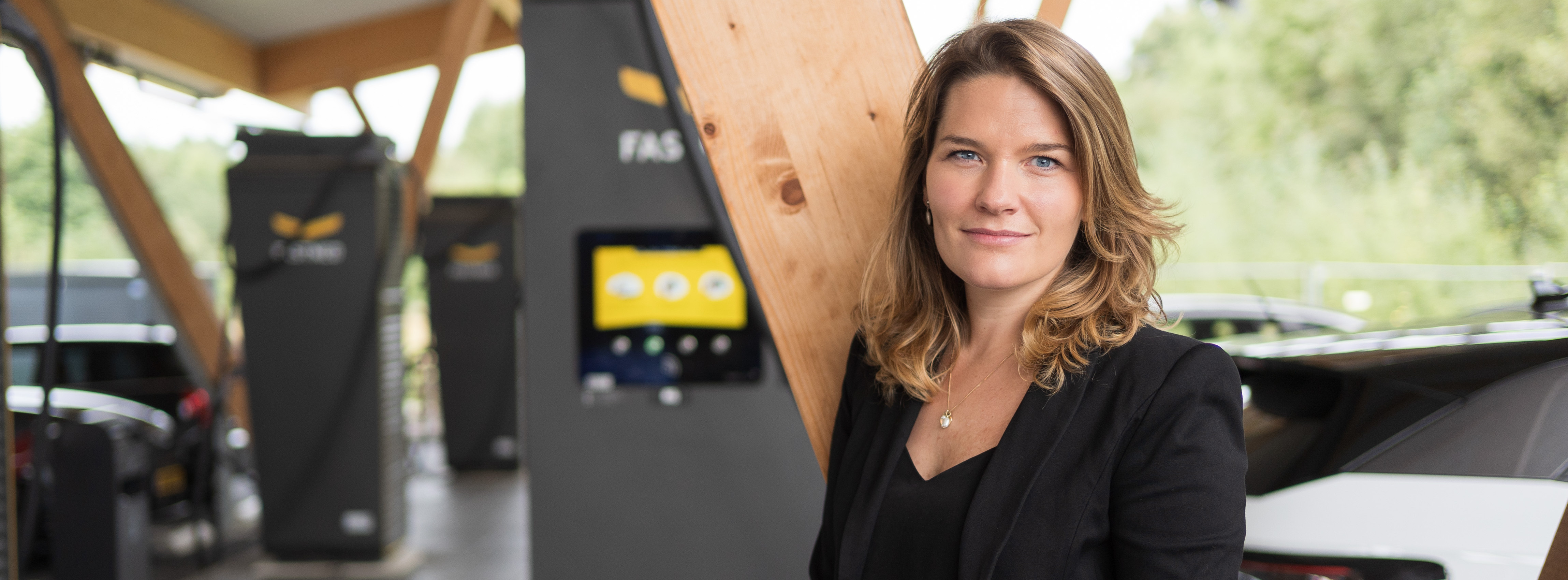 Energie & Management > Elektrofahrzeuge - Gute Mischung bei der Beschaffung