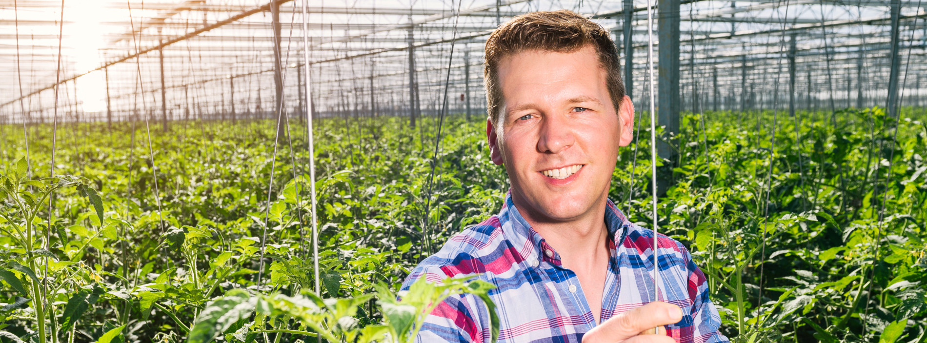 Energie & Management > Unternehmen - Gärtnereibetrieb nutzt Energiehandel als Einnahmequelle