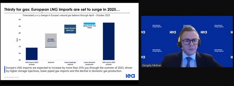 Energie & Management > Gas - Hunger der Gasspeicher steigert LNG-Importe im Sommer