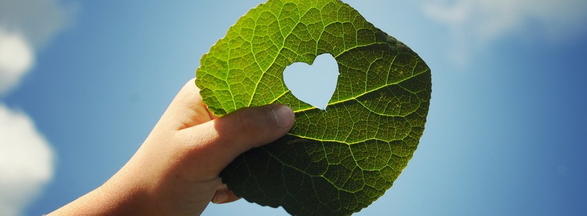 Energie & Management > Klimaschutz - Klimaklammer: Kein Kopfgeld für den Klimaschutz