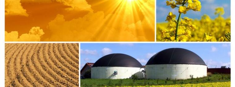 Energie & Management > Stromhandel - Begehrte EEG-Anlagen