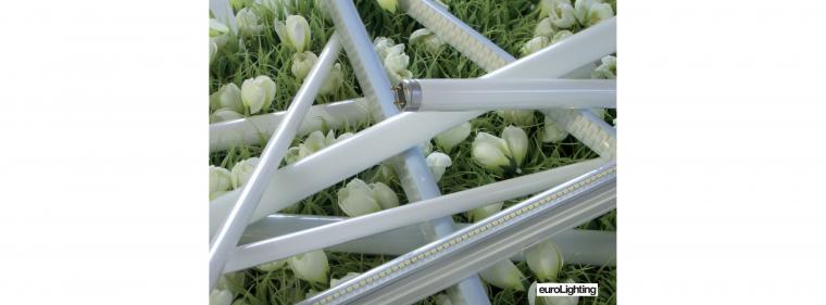 Energie & Management > Effizienz -  Klein, langlebig und lichtstark