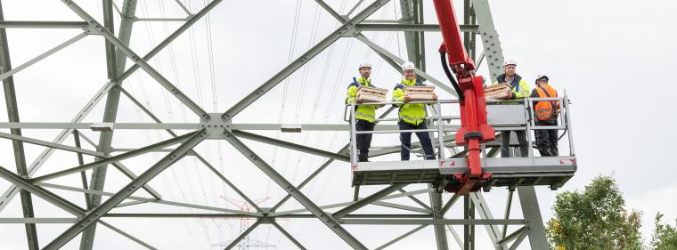 Energie & Management > Regenerative Energien - Erneuerbare werden seltener ausgebremst