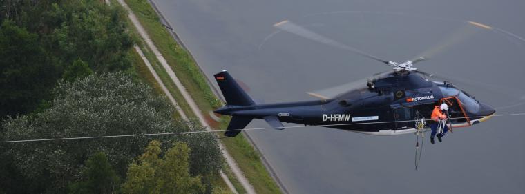 Energie & Management > Stromnetz - Warn-Marker an Hochspannungsleitungen sollen Vögel schützen