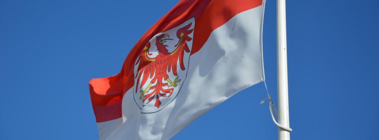 Energie & Management > Brandenburg - Landtag begrenzt neue Windprojekte