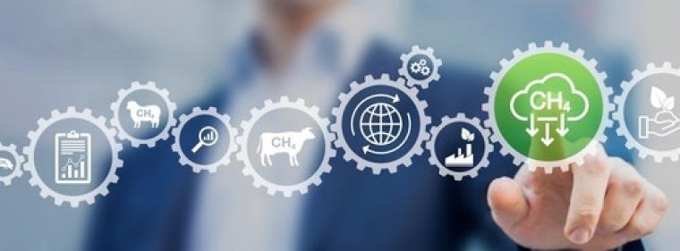 Energie & Management > Biokraftstoffe - Produktion in Bio-Flüssiggas-Anlage in Darchau gestartet