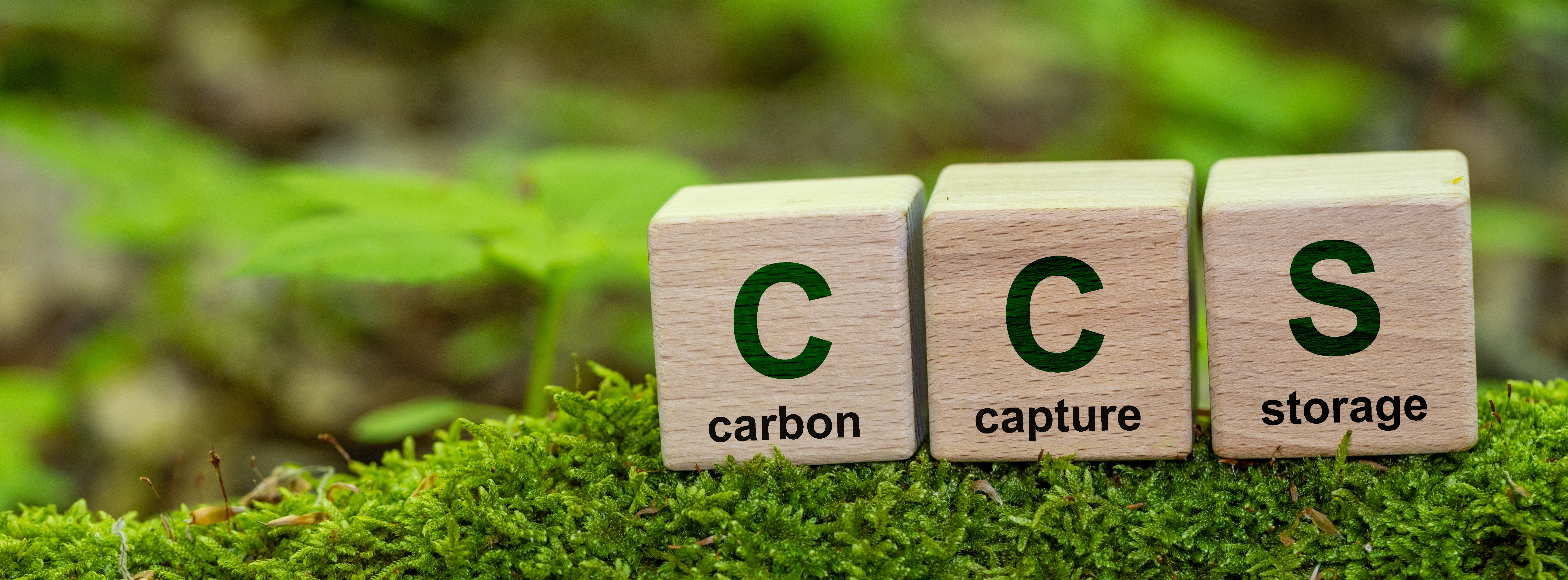 Energie & Management > Klimaschutz - Industrieverband fordert freie Fahrt für CO2-Einlagerung